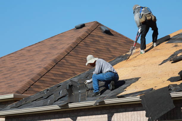 Best Wood Shake Roofing  in Jasper, FL